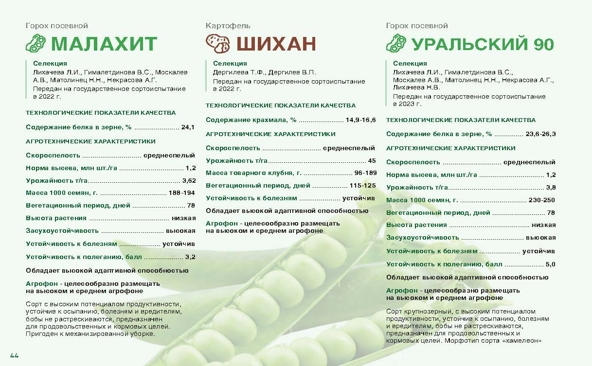 Каталог — мобильный слайд 3